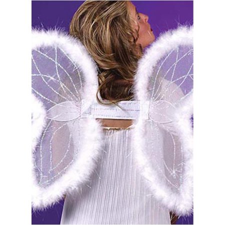 Feather Lined Angel Wings