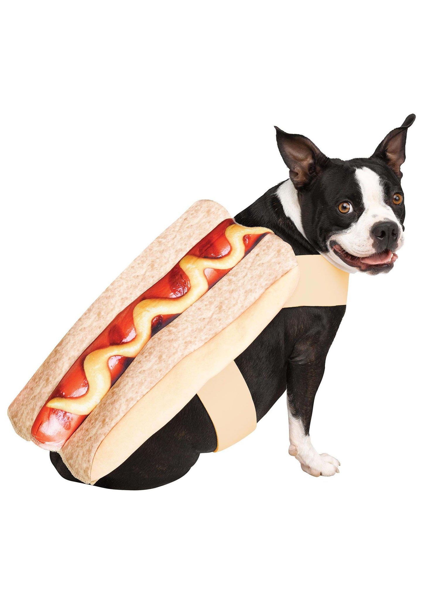 Hot Dawg Pet S-M