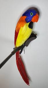 PIRATE PARROT