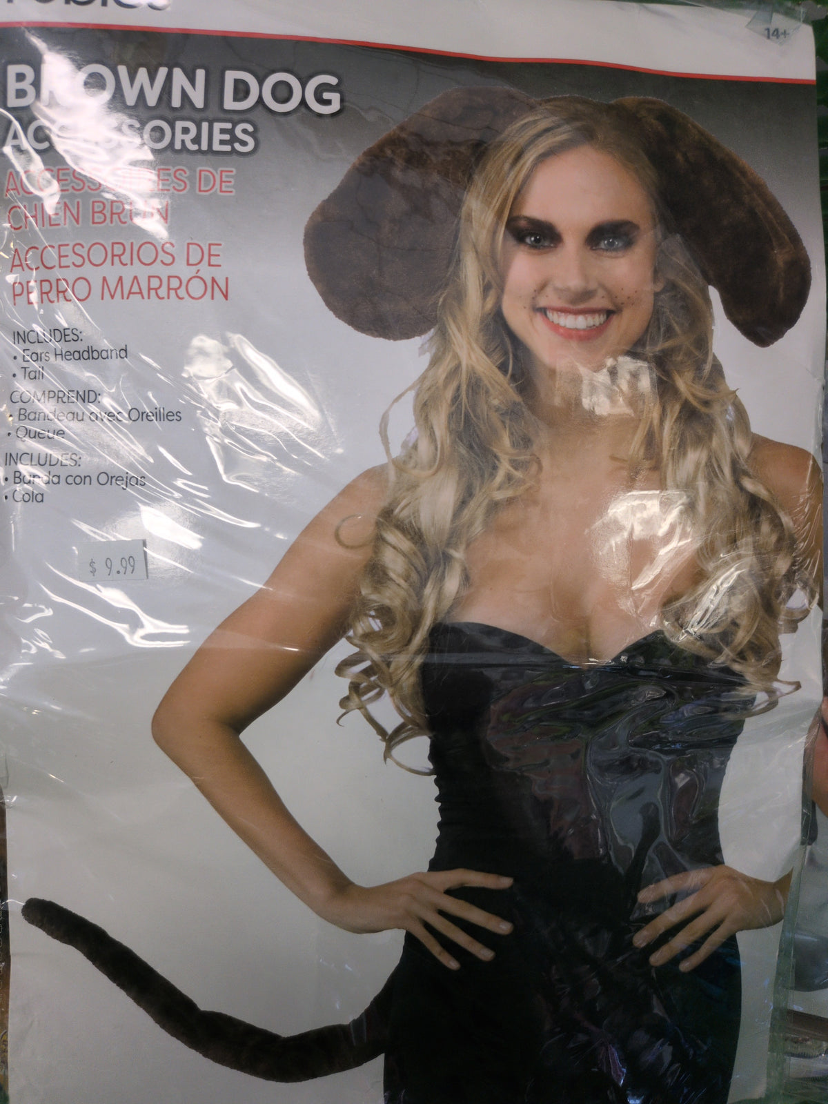 Brown Dog Accessories