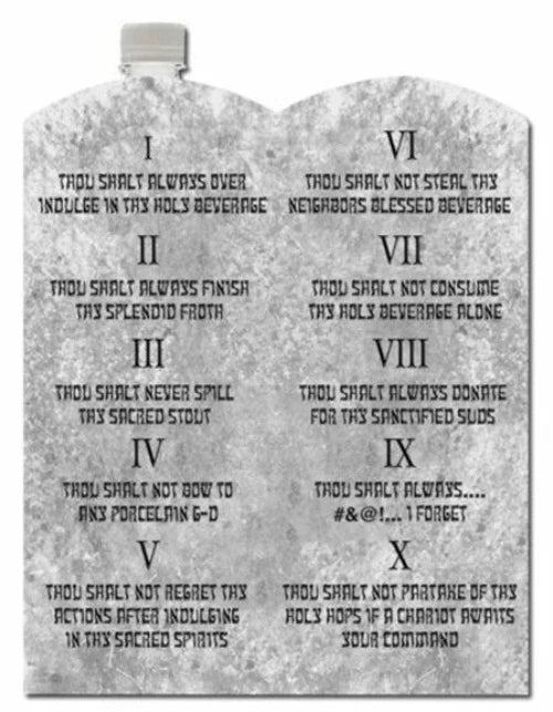 Ten Commandments Of Party