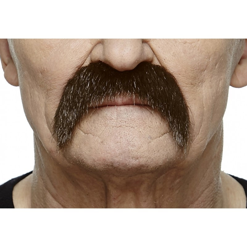 Mustache Horseshoe